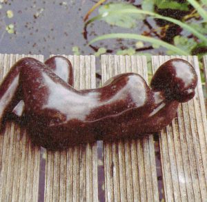 Elly van Gent Wierden