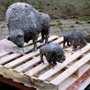 Jef de Passe Bison onafgewerkt