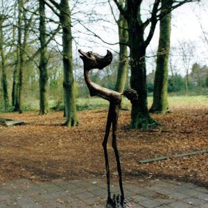 Theo van der Hoeven Amersfoort Vogel